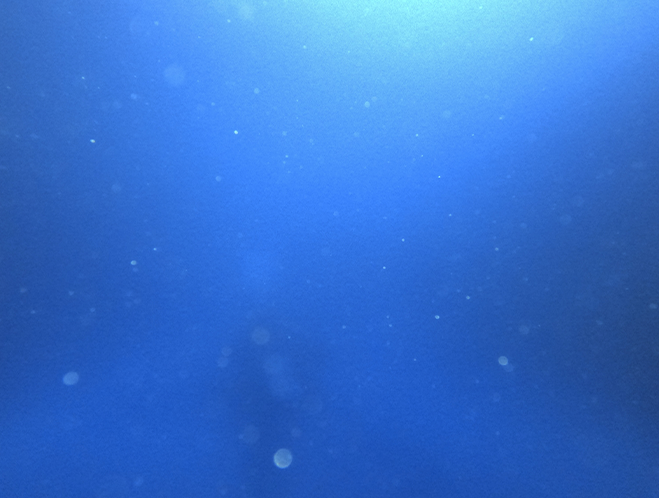 漁場までの距離