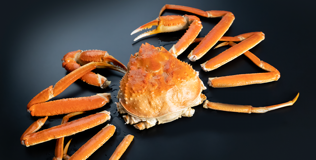 松葉蟹